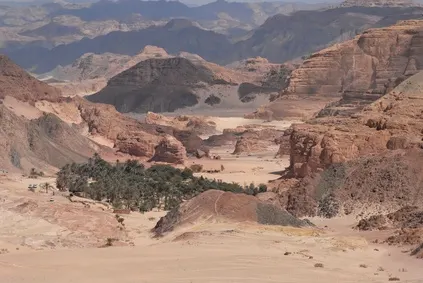 Sinai desert