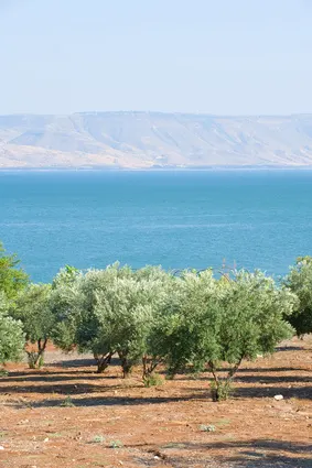 Lake Tiberias